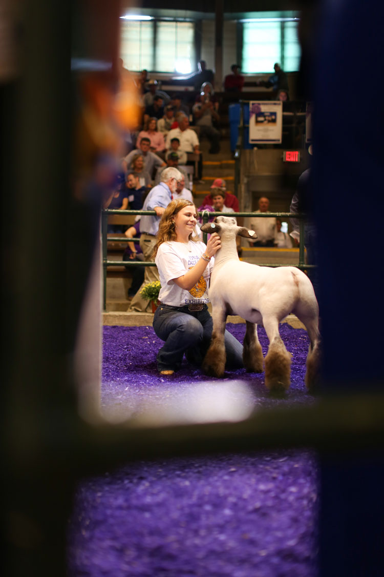 IFAA Iowa Foundation for Agricultural Advancement