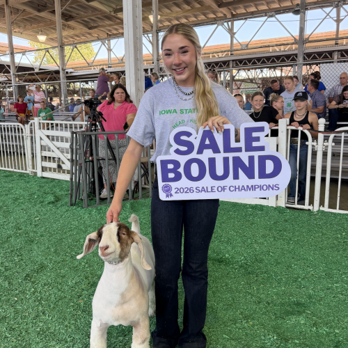 4-H Champion Goat