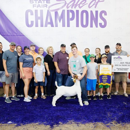 4-H Meat Goat