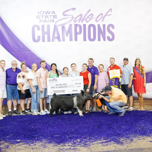 4-H Mkt Hog