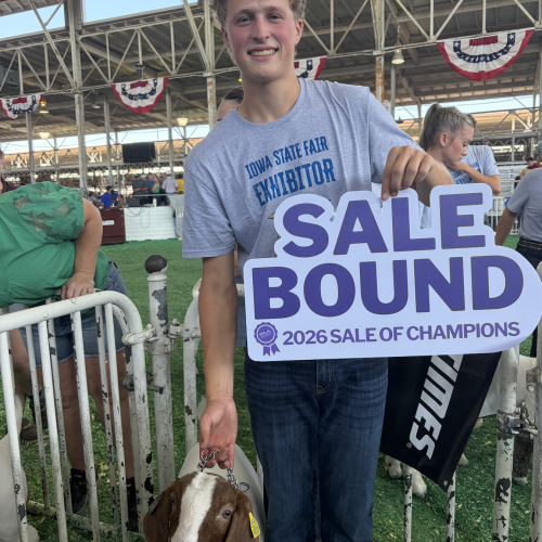 FFA Champion Goat