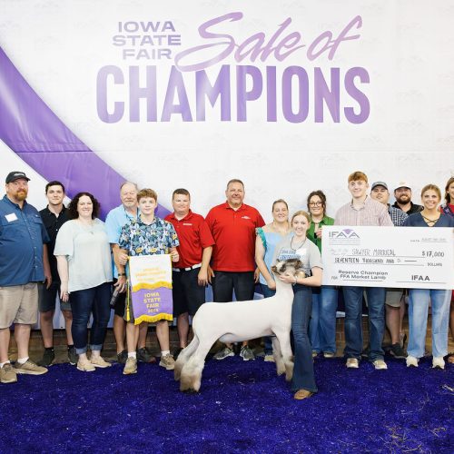 FFA Res Lamb