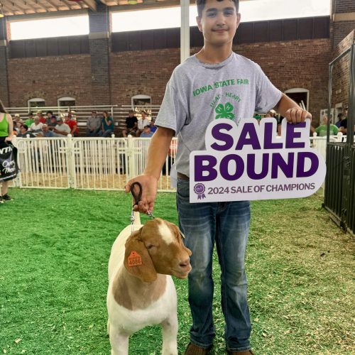 2024 Grand Champ 4-H Meat Goat Sale Bound