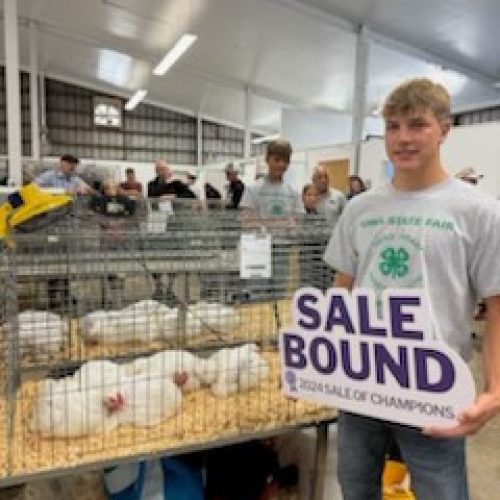 Grand Champ 4-H Mkt Broiler Sale Bound