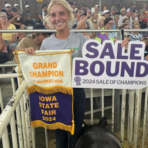 2024 Grand Champ 4-H Mkt Hog Sale Bound