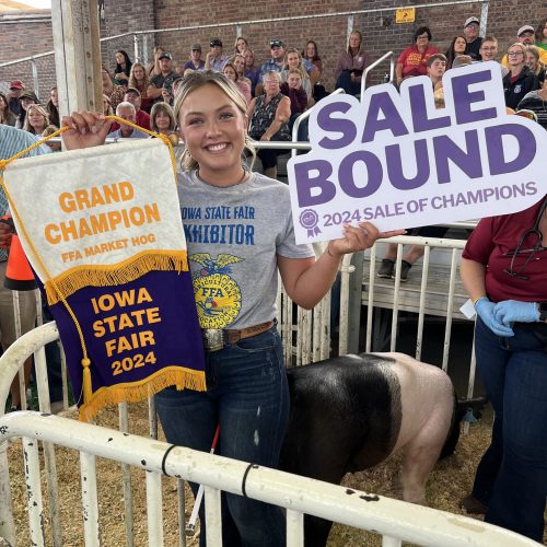 Grand Champ FFA Mkt Hog Sale Bound