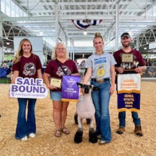 Grand Champ FFA Mkt Lamb Sale Bound