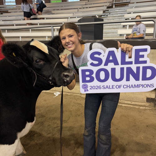 Grand Steer