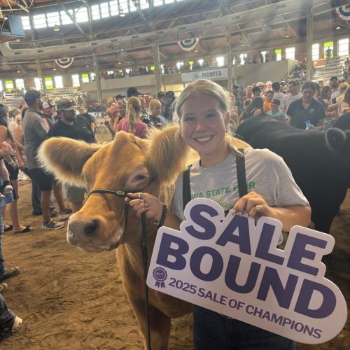 2025 4H Res Grand Mkt Steer