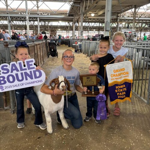 2025 Grand FFA Meat Goat