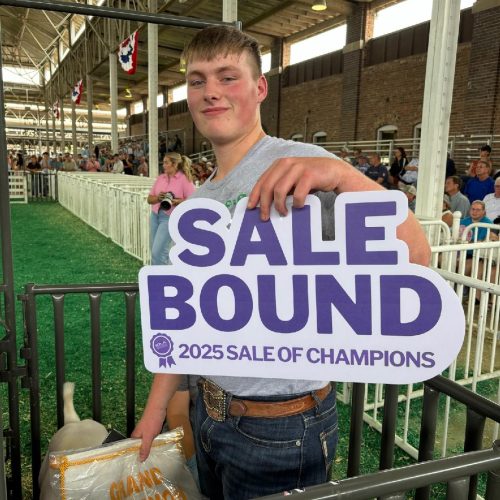 2025 Grand 4-H Meat Goat