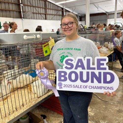 2025 Res Cham Broilers