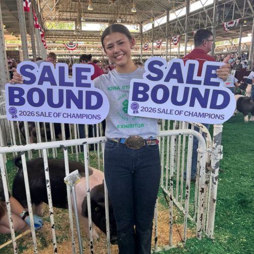 Grand & Res Market 4-H HogRodgers