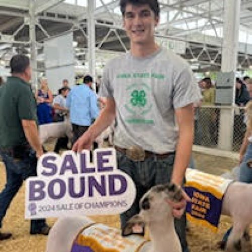2024 Res Grand Champ 4-H Mkt Lamb Sale Bound