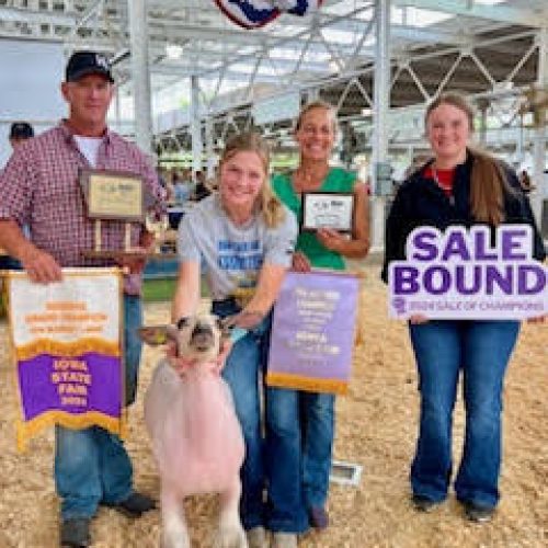 Res Grand Champ FFA Mkt Lamb Sale Bound