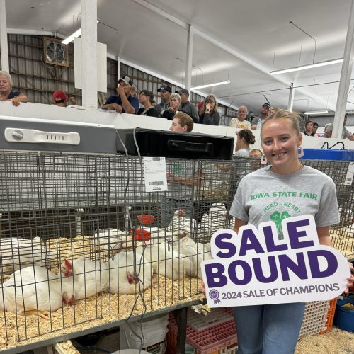 Reserve Grand Champ 4-H Mkt Broiler Sale Bound