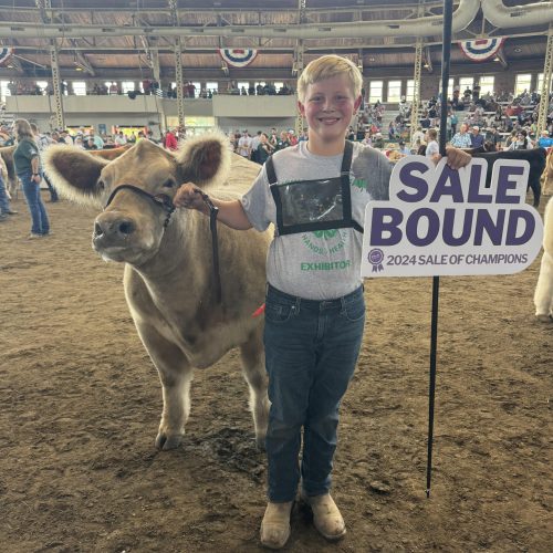 2024 Reserve Grand Champ 4-H Mkt Heifer Sale Bound