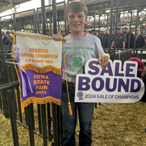 Reserve Grand Champ 4-H Mkt Hog Sale Bound