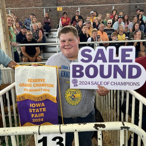 2024 Reserve Grand Champ FFA Mkt Hog Sale Bound