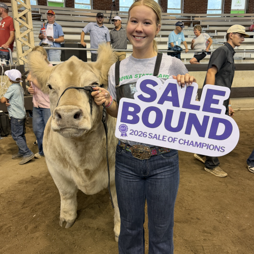 Reserve Steer