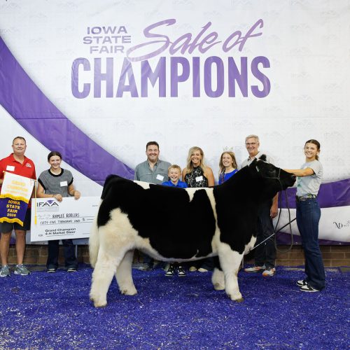 Rodgers Steer