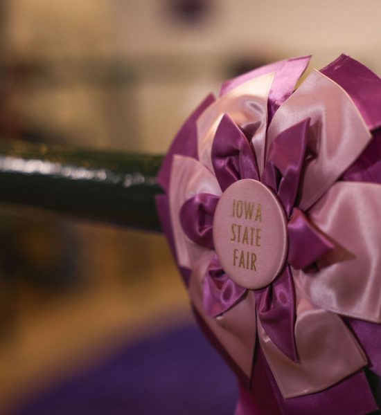 Rosette 4