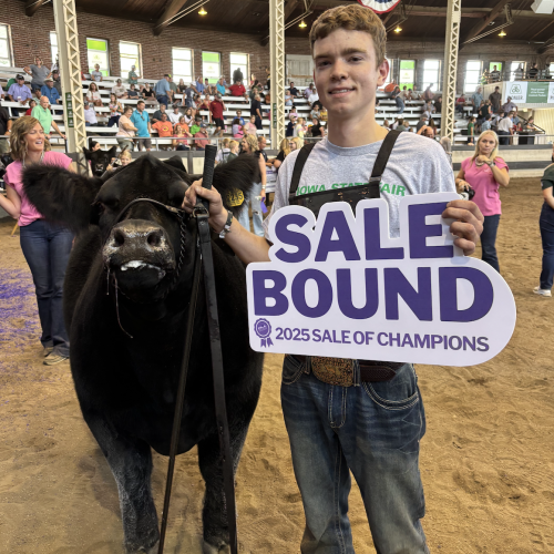 2025 Grand 4H Mkt Heifer