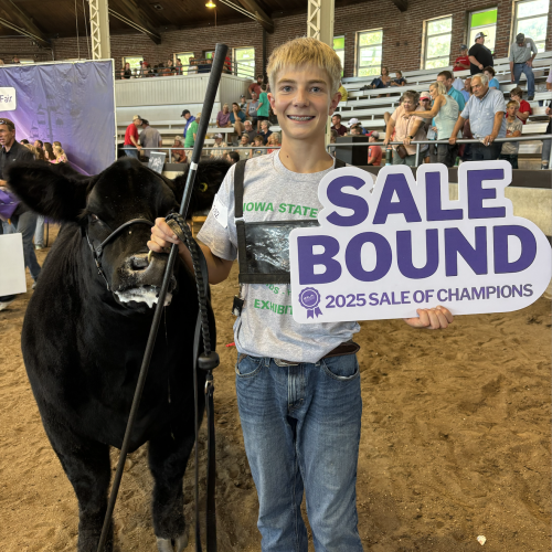 2025 Res Champ Mkt Heifer