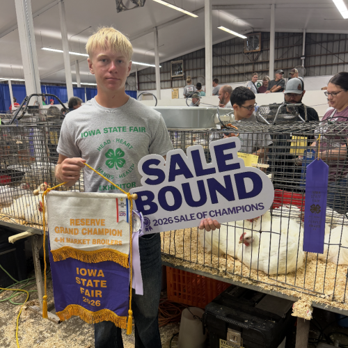 Res Grand Champ 4-H Market Broiler