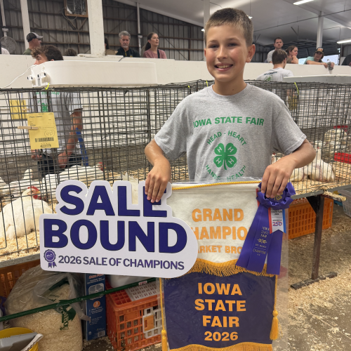 Grand Champ 4-H Market Broilers