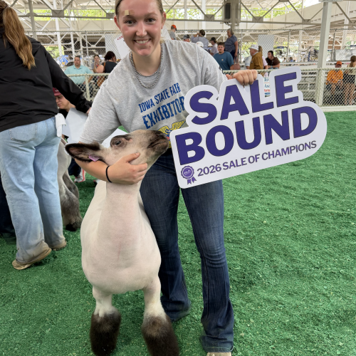 Res Grand Champ FFA Market Lamb